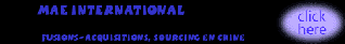 Business/Consulting Services